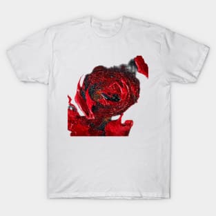 Red roses wall art T-Shirt